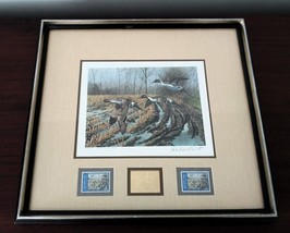 Framed Print w/Glass Pintail Duck-Richard Plasschaert Pencil Sgd &amp; Number 1988 - £89.93 GBP
