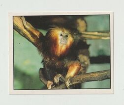 1995 Skybox Youngblood IMPULSE Sticker Trading Card Image Comics Card KG JD - $6.93