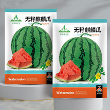 5 Bags 50 Seeds Bag Of Seedless Kylin Series Seedless Watermelon Seeds Fresh See - $18.88