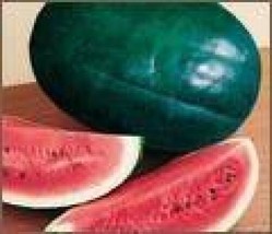 USA Florida Giant Watermelon Cannon Ball Black Diamond Citrullus Fruit 50 Seeds - £8.34 GBP