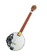 Qin Qin Four Strings goatskin China stringed instruments - $7,539.56 MXN