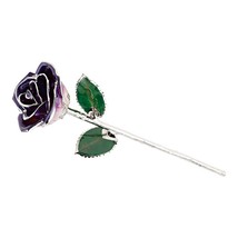 Platinum Trimmed Lacquered Single Long Stem Purple Rose - £135.09 GBP