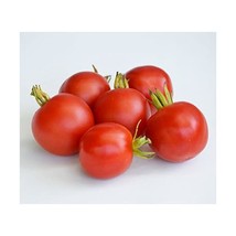 Premier Seeds Direct Tomato Outdoor Girl includes 125 Seeds  - $8.00