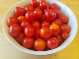 Fresh Seeds 50 Seeds Bajaja Tomato Tomatoes Juicy Vegetable Garden - $7.32