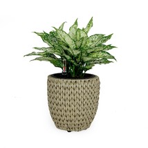 DTY Signature Self-watering Wicker Planter - Garden Decoration Pot -  Round - £56.16 GBP+