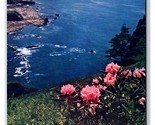 Beach View Otter Crest Oregon Coast Depoe Bay OR UNP Chrome Postcard G18 - $3.51