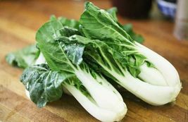 500 Seeds Tall Pak choi Gao Jiao Stem Pak Choi Cabbage - £7.15 GBP