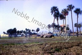 1969 Busch Gardens Zebras, Giraffes Tampa 35mm Slide - £2.97 GBP