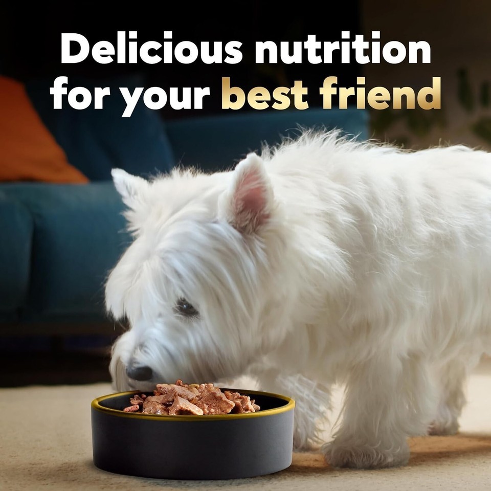 Grain-Free Soft Dog Food Loaf & Topper - Filet Mignon Bacon Flavor, 3.5 oz Trays Item image 11