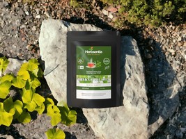 Herbsentia Gingko Biloba Tea - Memory and Focus (Premium) - £10.06 GBP