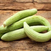 Fast Ship USA Seller Armenian The Duke Cucumber Seeds - £5.39 GBP