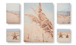 Beach and Starfish Wall Prints Set of 5 Stretched Canvas over Frame Neutral Tone