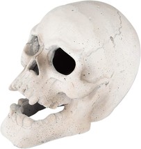 Stanbroil Fire Pits 9&quot; Imitated Human Skull Decoration For Indoors Outdoors - £49.66 GBP