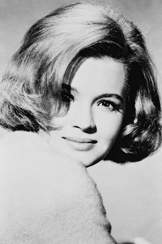 Angie Dickinson lovely 1960&#39;s pose The Killers 11x17 Mini Poster - $12.99