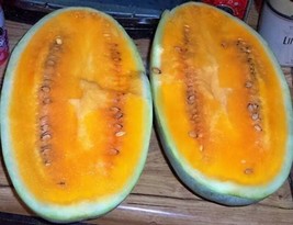 Thjar 50 Tendersweet Orange Watermelon Citrullus Lanatus Fruit Melon Seeds - $4.99