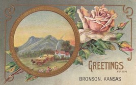 Bronson Kansas KS Greetings From Postcard B07 - £2.14 GBP