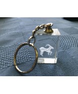 Laser cut Crystal Cube key-ring star sign zodiac Astrology Novelty key c... - $3.47