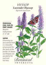 Hyssop Lavender Seeds 250 Mg Fresh Garden USA SELLER - £13.08 GBP