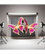 NWT House of Harlow 1960 Butterfly Earrings, 3D Pink Orange Sparkle Butt... - $59.95