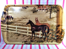 Charming Mid Century RexLite X-Large Fiberglass Horse Farm Design Servin... - $28.00