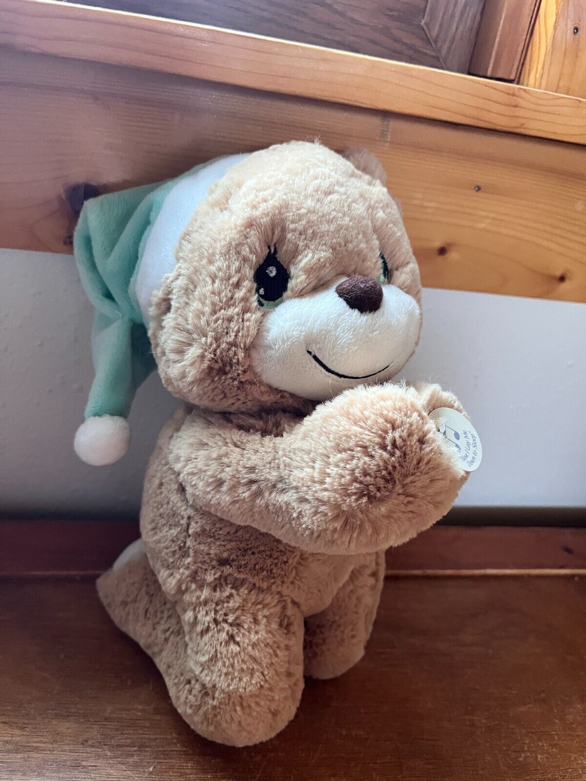 Precious Moments Tan Plush Praying Teddy Bear w Light Green Hat Stuffed ...