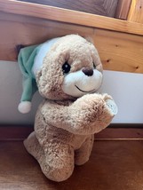Precious Moments Tan Plush Praying Teddy Bear w Light Green Hat Stuffed Animal T - $11.29