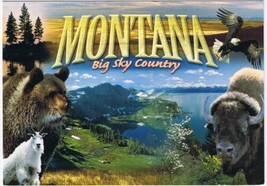 Montana Postcard Big Sky Country Bear Bison Mountain Goat - £2.32 GBP