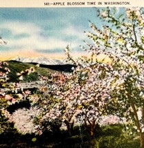 Apple Blossoms In Washington State Floral Gardens Postcard c1930-40s PCBG8C - £15.73 GBP