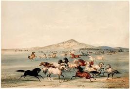 Wild Horses At Play - 1844 - Illustration Poster - £8.00 GBP+