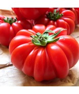 Costoluto Genovese Tomato Seeds, Italian Ribbed, NON-GMO, FREE SHIPPING - £1.31 GBP+