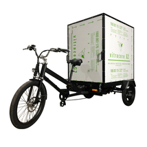 Electric Box Cargo Trike| Smart Hauling for All - £4,066.50 GBP