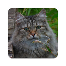 2 PCS Norwegian Forest Cat Coasters - £13.55 GBP