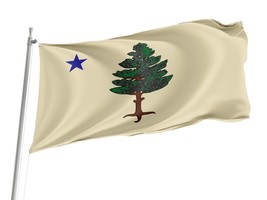 Maine 1901 to 1909 Flag  3x5 outdoor, Size -3x5Ft / 90x150cm, Garden flags - $29.80
