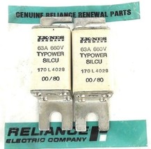 LOT OF 2 NEW LK-NES DANMARK 170L4029 TYPOWER SILCU 60A 660V FUSE 170-L-4029 - £15.91 GBP