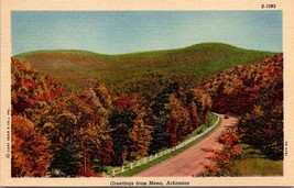Arkansas Greetings From Mena Road Autumn Fall Trees 1930-45 Vintage Postcard - £6.64 GBP