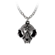 Alchemy Gothic P938- My Forever Friend Necklace Pendant Which Halloween ... - £18.07 GBP