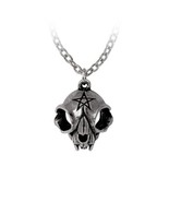 Alchemy Gothic P938- My Forever Friend Necklace Pendant Which Halloween Skull - $22.99