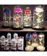 Enchanted Forever Rose In Dome Glass LED Light Valentine's Day Girlfriend Gift - $42.00