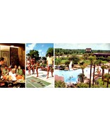 Florida - Lot of 4 Vintage Color Postcards - $5.42 CAD