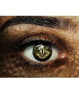 DRAGONKIN BLOOD AWAKENING SPELL! BRING OUT YOUR DRACONIC BLOODLINE! INTENSE! - $49.99