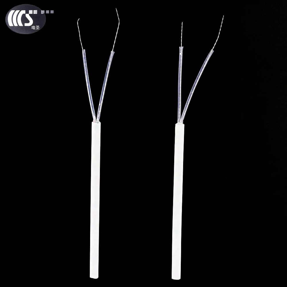 WS-NH 2pcs/lot  220V 20W Constant Temperature Electric  Heating Core Int... - $126.90