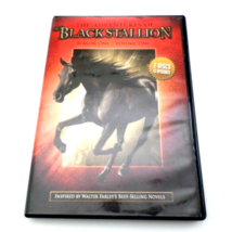 Lot of 3 Family &amp; Children DVDs: Red Fury, The Painted Hills, Black Stallion - £9.30 GBP