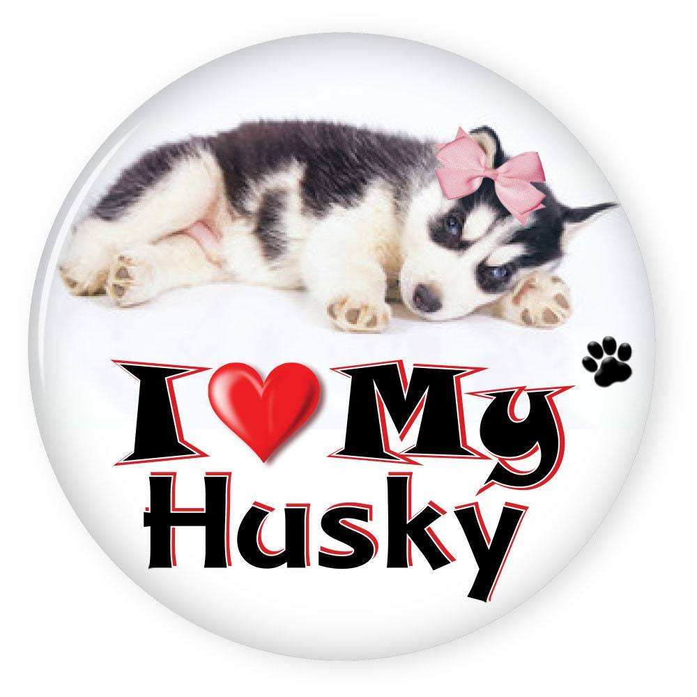 I Love My HUSKY - Dog Puppy 3&quot; CAMPAIGN Pin Back Button For your favorit... - $7.99