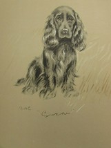 Lucy Dawson 1937 Spaniel Dog Print Print 31890 Vintage Cocker Susan - $19.79