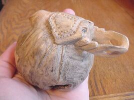 (q162) little shore CRAB or staghorn Beetle bug PARASITE WOOD carving FI... - $19.74