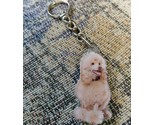 Cute White Poodle Dog Animal - Mirrored Back Sealed Keychain - $16.41