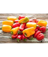 Heirloom Organic Mix Lunchbox Pepper Seeds - $4.95