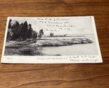 Vintage 1906 Davenport&#39;s Neck New Rochelle NY Postcard KG JD - $5.94