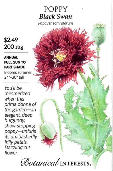 Poppy Black Swan Flower Seeds - Botanical Interests 12/24 Fresh Garden - £6.63 GBP