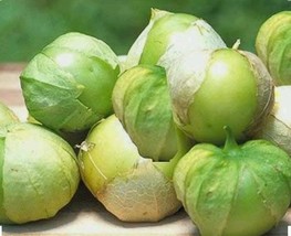 100 Tomatillo Toma Verde Seeds Non Gmo Open Pollinated - $6.00